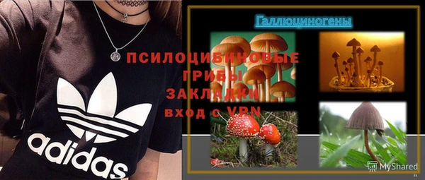 амф Беломорск
