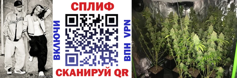 МАРИХУАНА Amnesia  купить  сайты  Ядрин 